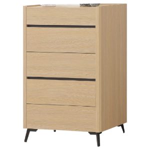 ☆DE德一家具☆萊德五斗櫃 CX25-017-12